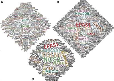 Time Domains of Hypoxia Responses and -Omics Insights